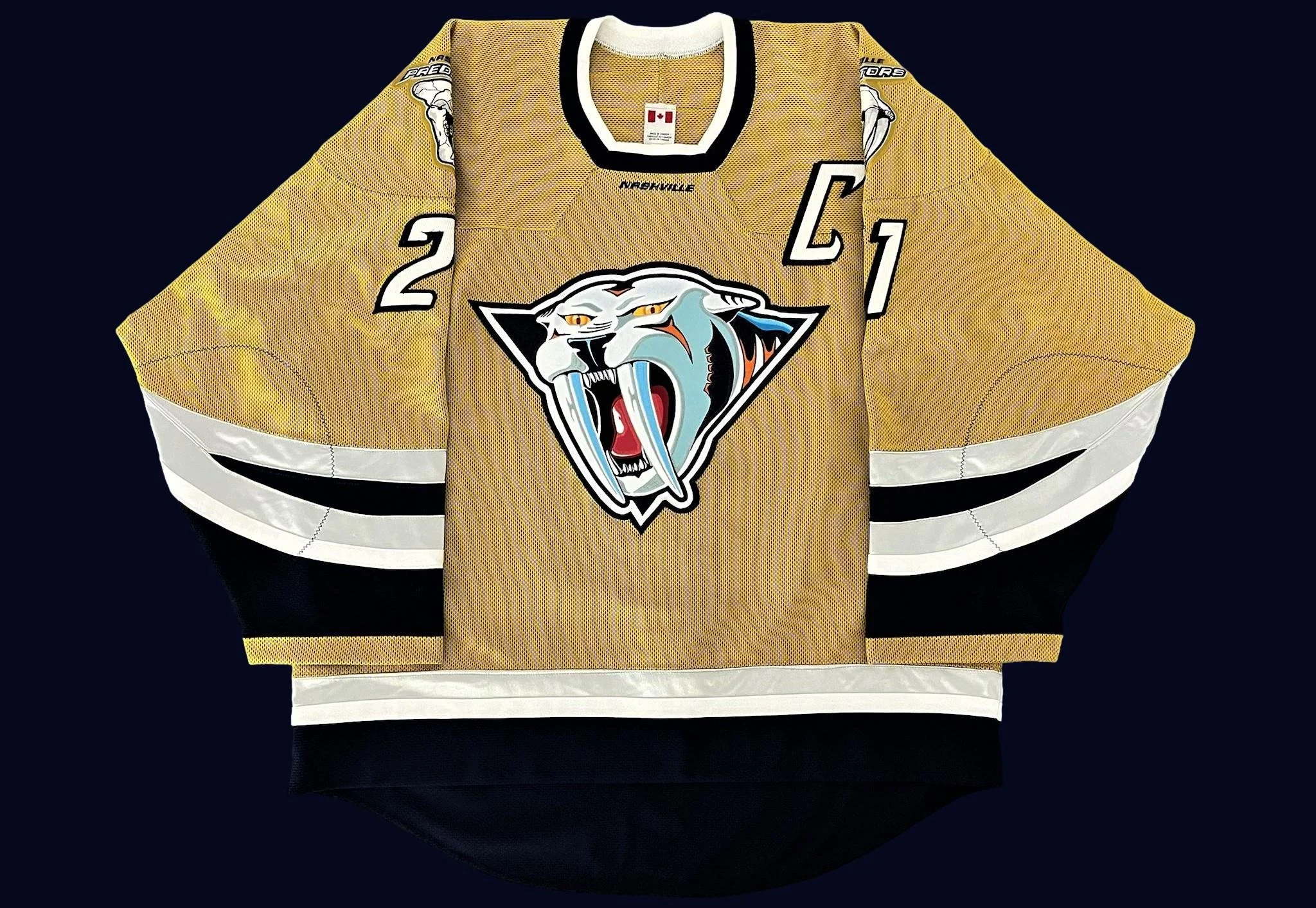 Tom Fitzgerald 2001 2002 Nashville Predators Alternate Set